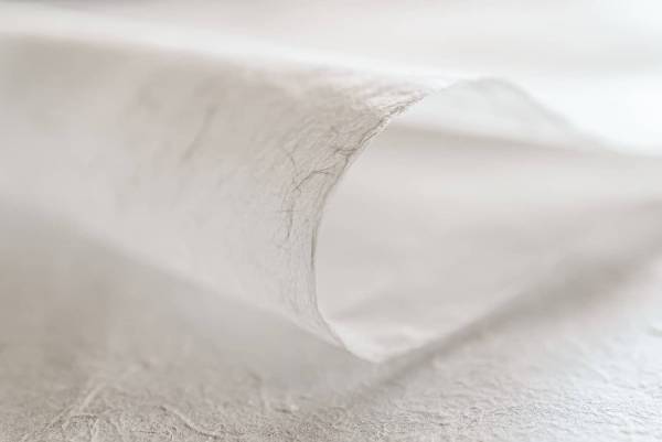 【界 川治】「伝統工芸士と大子那須楮(だいごなすこうぞ)100％の『烏山和紙』紙漉き体験」開催　サシェづくり体験も｜期間：2022年3月１日～5月31日