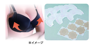 【期間限定キャンペーン開催】累計50万枚(※)を販売したバストケアブランド 「エレアリーナイトブラ」のクリスマス限定キャンペーン開催