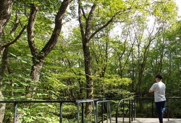 【旅行新聞一面に掲載】省エネへの取り組み｜廃熱利用システムの導入でCO2排出量68トンを削減