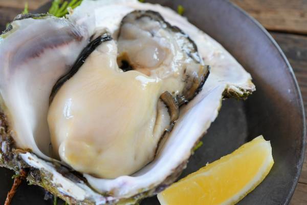 たびふく”中の人”が実際に取り寄せて衝撃を受けた！「忘れられないあの味ランキングBEST10」【旅する久世福e商店】