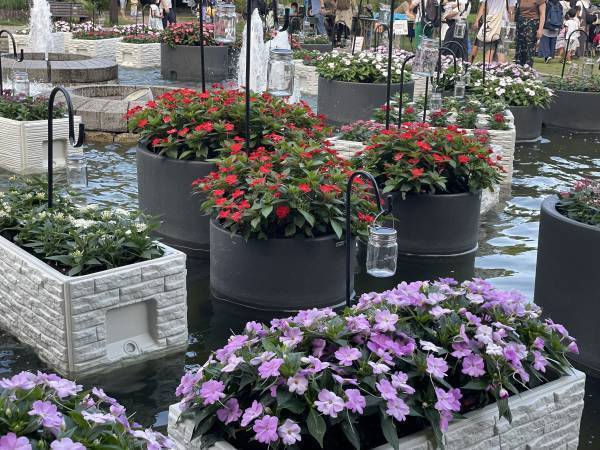 8/21まで！府中の森公園で、夏を彩るイベント「花と光のムーブメント」開催中！