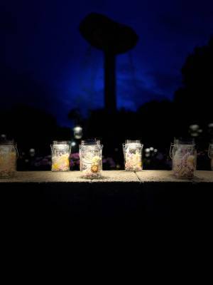 8/21まで！府中の森公園で、夏を彩るイベント「花と光のムーブメント」開催中！