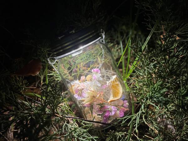 8/21まで！府中の森公園で、夏を彩るイベント「花と光のムーブメント」開催中！