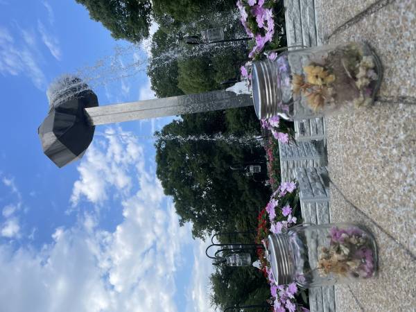 8/21まで！府中の森公園で、夏を彩るイベント「花と光のムーブメント」開催中！