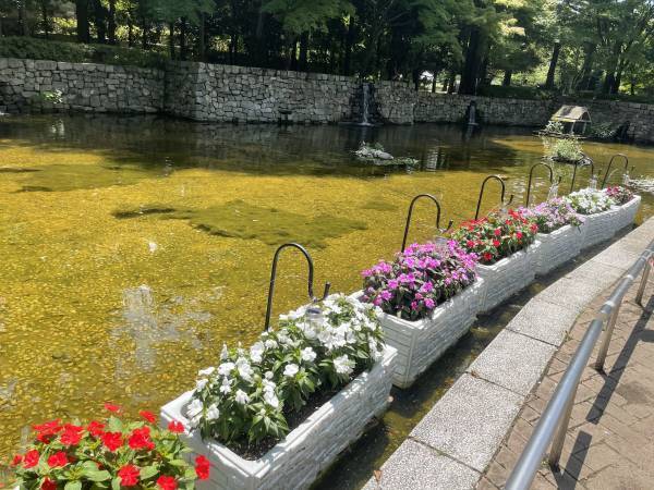 8/21まで！府中の森公園で、夏を彩るイベント「花と光のムーブメント」開催中！