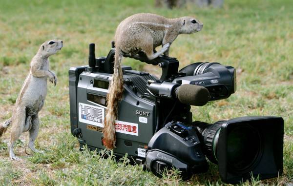 【広島ホームテレビ】「地球派宣言」が３０年目に
