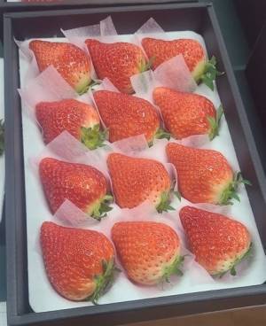 糖度が高く、香りが強い大粒のいちご！ 産地直送通販サイト「ＪＡタウン」でぎふの苺「華かがり」が販売開始！