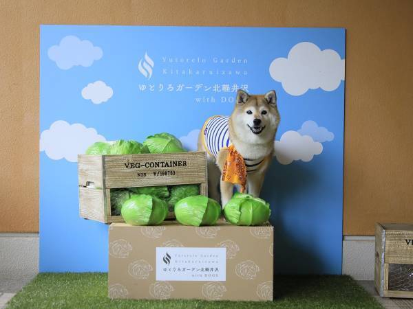 わんちゃんと一緒に＜ホテルで焼き芋＞in北軽井沢　窯グランデで仕上げるホクホクの焼き芋付プラン販売開始