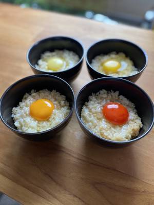 関西初出現！行列のできるたまごバイキング「幻の卵屋さん」が大阪駅に9/14オープン！