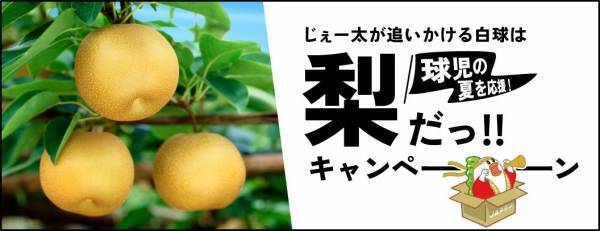 球児の夏を応援！ 産地直送通販サイト「ＪＡタウン」で 「じぇー太が追いかける白球は梨だっ！！キャンペーン」スタート ～キャンペーンの動画広告も配信～