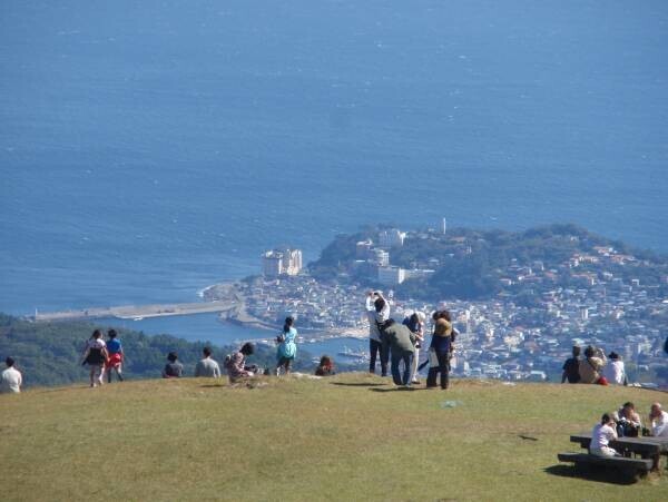 秋風に揺れ黄金色に輝くすすき原の大絶景「稲取細野高原 秋のすすきイベント」が今年も開催！【伊豆半島-東伊豆町】