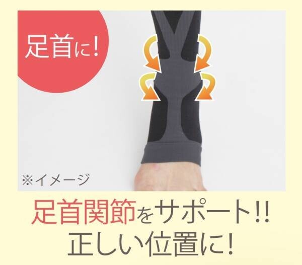 【保阪尚希さん監修】大人気の「膝ラクウォーキングPlus」が新色を発表。他にはない膝・足首・足裏のサポートで膝の不安を解消するサポーター。