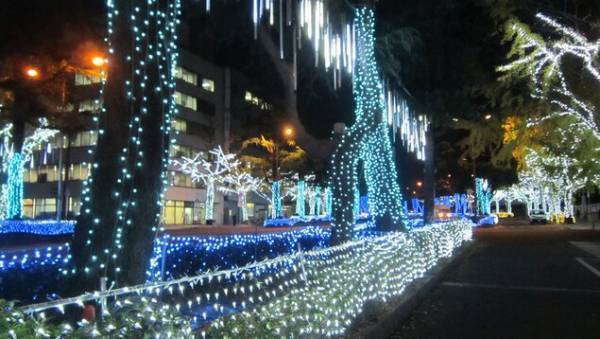 周南市の冬の風物詩「周南冬のツリーまつり　～ウィンターイルミネーション2022～」12月1日（木）から開催