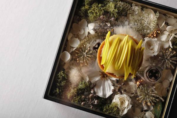 【奥入瀬渓流ホテル】フレンチレストラン「Sonore（ソノール）」で冬限定メニューを提供｜期間：2021年12月17日～2022年3月26日