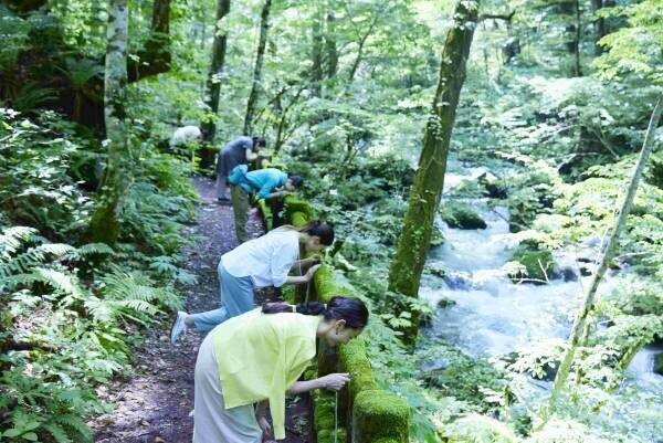 【奥入瀬渓流ホテル】朝から晩まで苔三昧！苔づくしの宿泊プラン「苔旅」提供開始｜期間：2022年6月1日～8月31日