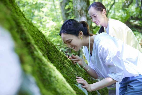 【奥入瀬渓流ホテル】朝から晩まで苔三昧！苔づくしの宿泊プラン「苔旅」提供開始｜期間：2022年6月1日～8月31日