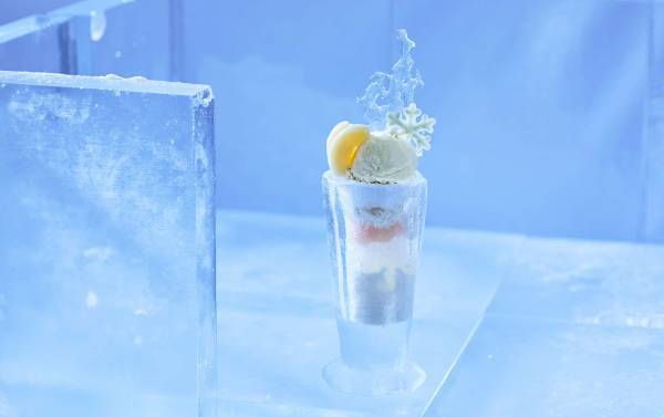 【トマム】幻想的な氷の街「アイスヴィレッジ」オープン ～北海道のコンビニチェーン「セイコーマート」とのコラボドームや瞬時に凍るスイーツづくり体験～ ｜期間：2022年12月10日～2023年3月14日（予定）