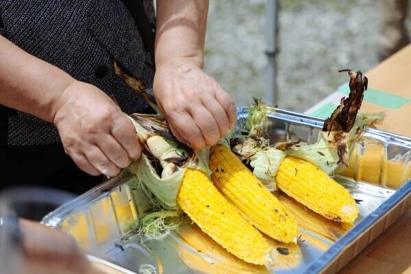 和歌山県のSLOW LIFE ブランド『inoca』（井戸畳店）による 「いぐさ収穫祭2022」開催。