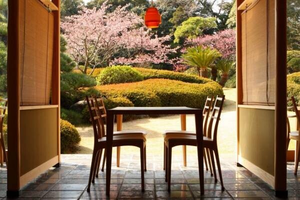 【界 アンジン・界 伊東】伊豆でお花見めぐりができる「桜オープンバスツアー」実施