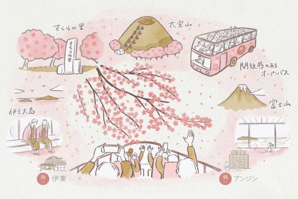 【界 アンジン・界 伊東】伊豆でお花見めぐりができる「桜オープンバスツアー」実施