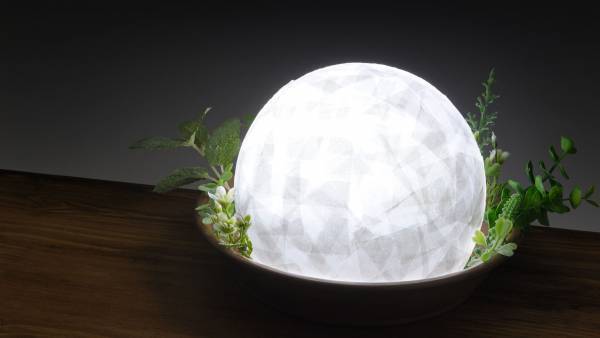 毎年恒例のセリアとのコラボ企画「100円ショップ商品で自由研究」、小・中学生向け教育ポータルサイト『学研キッズネット』で開始