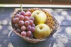 山口県周南市須金フルーツランドから旬の「梨」と自慢の「ニューピオーネ」をお届けします！