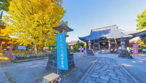 学園生活コミュニティ「キャラフレ」｜荘厳な大銀杏『足利・鑁阿寺』校外学習イベントのお知らせ