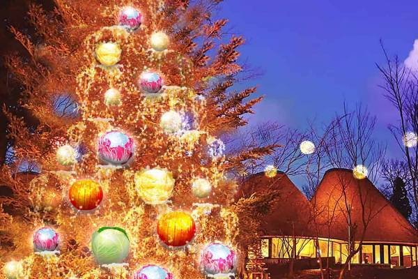 【リゾナーレ那須】野菜モチーフのベジクリスマスツリーが煌めく「アグリクリスマス」開催 ～ホットハーブワインやアグリサンタからポン菓子をプレゼント～｜期間：2022年12月1日～25日