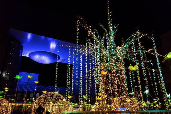 【茨城県日立市】日立の冬の風物詩「ヒタチスターライトイルミネーション」を「見上げれば『星降るイルミ』」にグレードアップして、たくさんの人たちの目を楽しませたい！