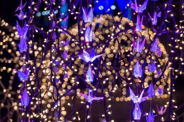 【茨城県日立市】日立の冬の風物詩「ヒタチスターライトイルミネーション」を「見上げれば『星降るイルミ』」にグレードアップして、たくさんの人たちの目を楽しませたい！