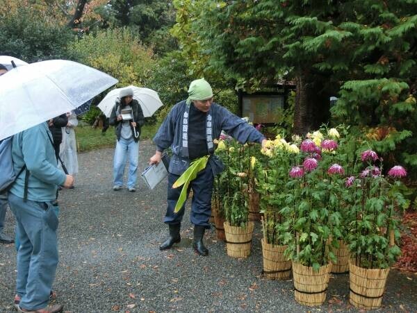 11月5日（土）～11月23日（水・祝）向島百花園「菊が彩る江戸花屋敷」を開催！