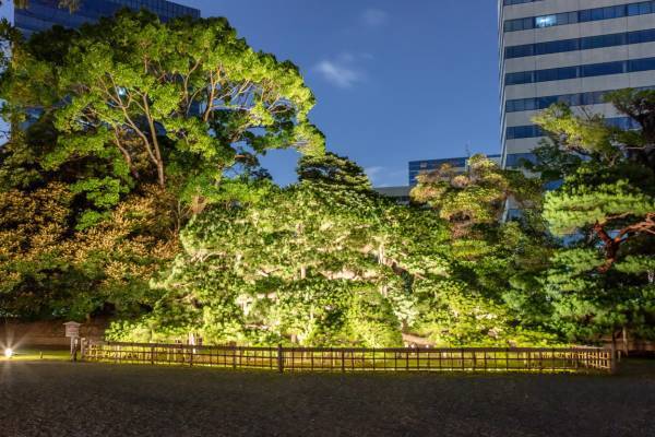 【9/30更新】浜離宮恩賜庭園ライトアップイベント「～浜離宮でお月見散歩～将軍の御庭で栗名月を愛でる」10月5日（水）～10日（月・祝）