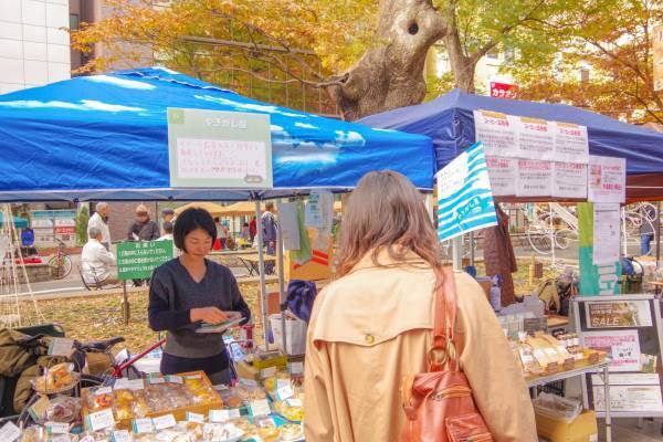 秋のけやき並木へキテキテ！　第7回キテキテ府中マルシェ2022秋 11月27日に開催！