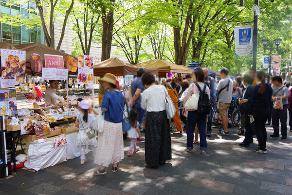 秋のけやき並木へキテキテ！　第7回キテキテ府中マルシェ2022秋 11月27日に開催！