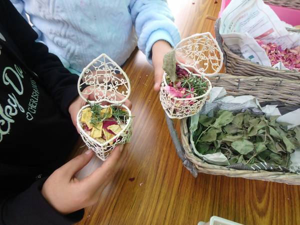 秋留台公園「ローズフェスタウィーク　秋」10月17日（月）～23日（日）開催決定！