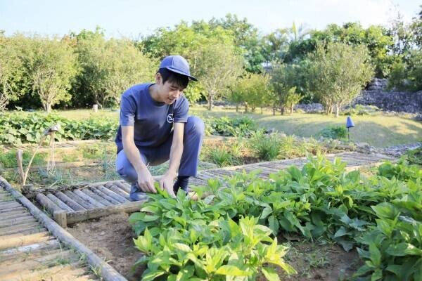 【星のや竹富島】竹富島の文化体験や作物の収穫体験ができる「てぇどぅんツアー」を実施｜期間：2022年3月1日～6月30日