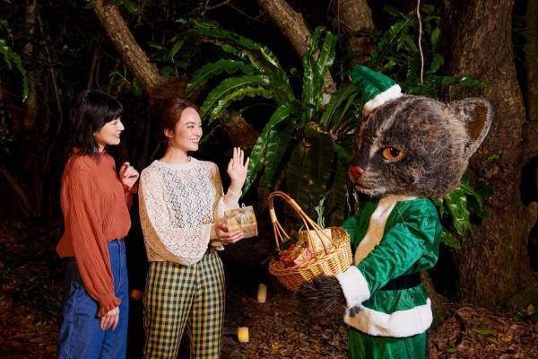 【西表島ホテル】島の自然に優しいクリスマスイベント「イリオモテグリーンクリスマス」開催｜期間：2022年12月1日〜25日