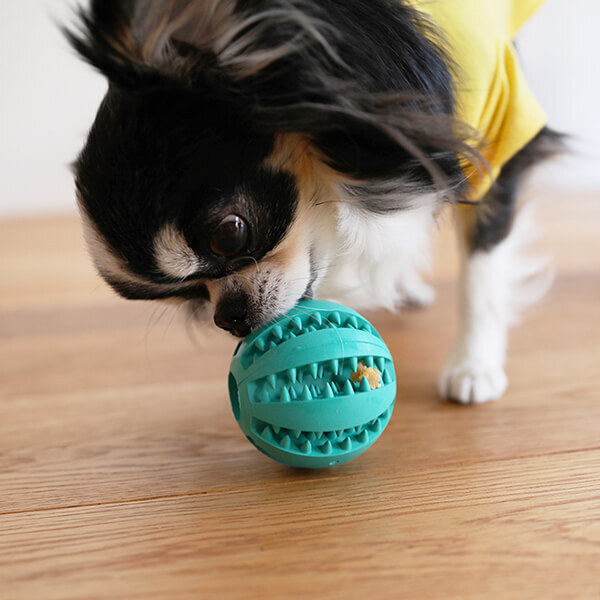 「2022年下半期ランキング」オーサムストアの旬な人気部門3カテゴリーよりそれぞれ”売れたBEST5”を発表！