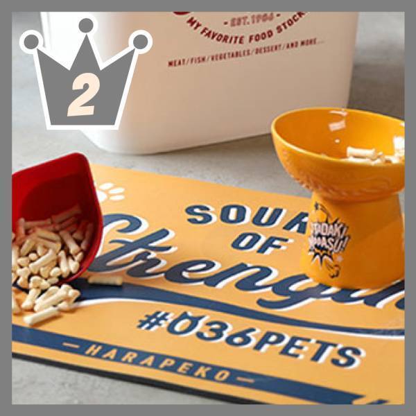 「2022年下半期ランキング」オーサムストアの旬な人気部門3カテゴリーよりそれぞれ”売れたBEST5”を発表！