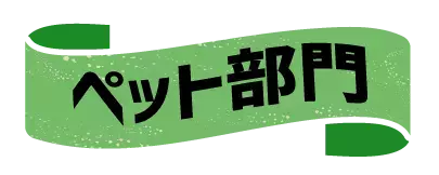 「2022年下半期ランキング」オーサムストアの旬な人気部門3カテゴリーよりそれぞれ”売れたBEST5”を発表！