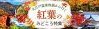 大江戸温泉物語が宿を拠点に楽しむ全国の紅葉情報をまとめた 「紅葉のみどころ特集」ページを公開
