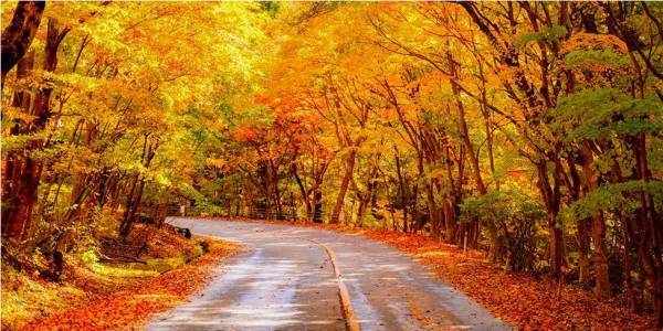 大江戸温泉物語が宿を拠点に楽しむ全国の紅葉情報をまとめた 「紅葉のみどころ特集」ページを公開