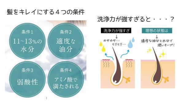 【先行予約クーポンコードで今なら半額！】【9月11日まで】アミノ酸に徹底的にこだわった スカルプシャンプー[ヘアルーツ]が9月8日に誕生！