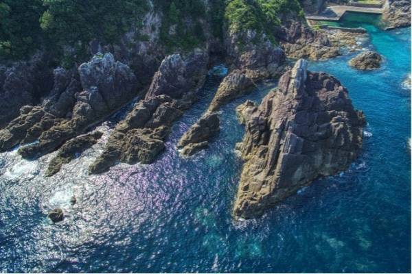 勝浦港水揚げの生まぐろ食べ放題の宿【大江戸温泉物語 南紀串本】で海鮮グルメバイキングがスタート