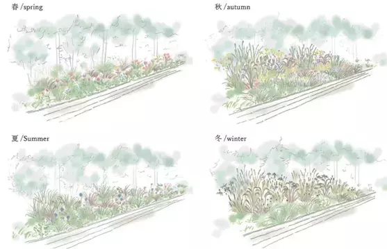 第２回東京パークガーデンアワード 神代植物公園　書類審査結果について