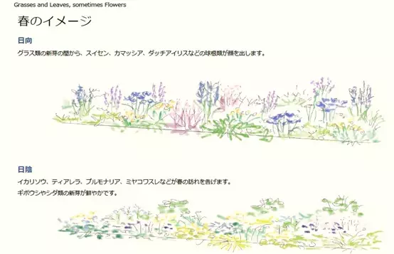 第２回東京パークガーデンアワード 神代植物公園　書類審査結果について