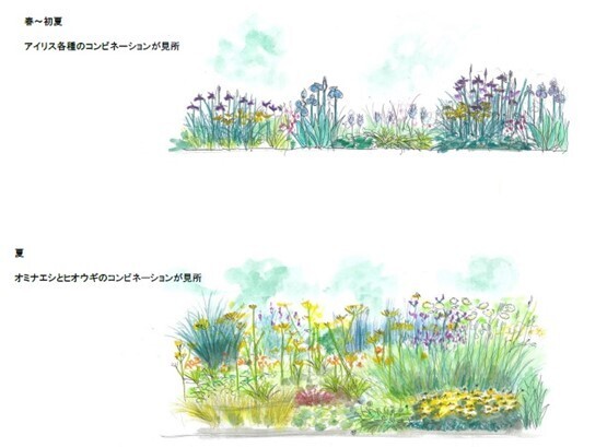 第２回東京パークガーデンアワード 神代植物公園　書類審査結果について