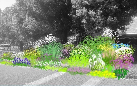 第２回東京パークガーデンアワード 神代植物公園　書類審査結果について