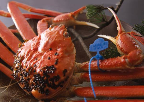 【朝からおでん食べ放題】但馬牛・但馬鶏の卵　但馬づくしの朝食メニューが新登場！ 城崎「温もりの宿 ひだまり」