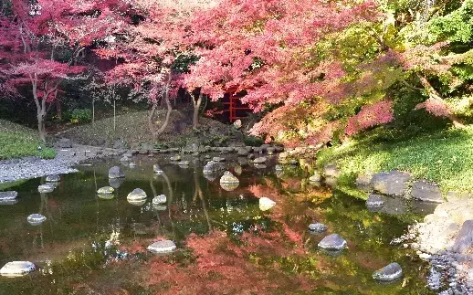 庭師の匠の技！　～都立庭園 伝統技能見学会 開催のご案内～